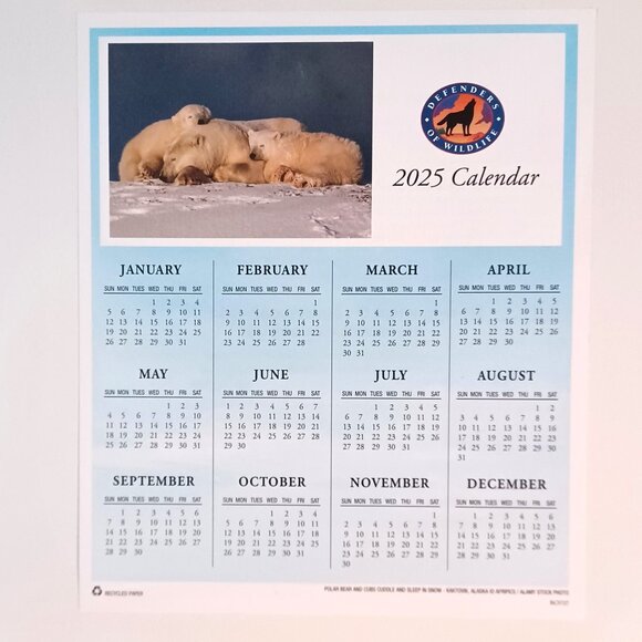 Lot of 3 Wildlife Calendars 2025 Audobon Society and Defenders of Wildlife - Picture 4 of 9